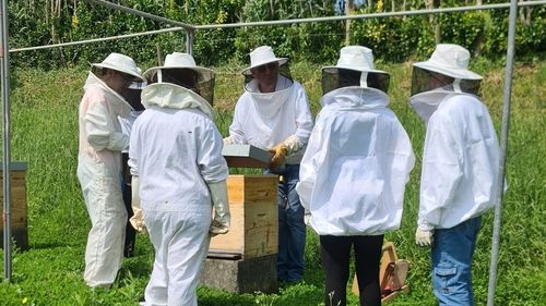 Jovens da Escola Secundária Manuel de Arriaga participam de experiência inspiradora em agricultura biológica na Quinta de Santo Amaro