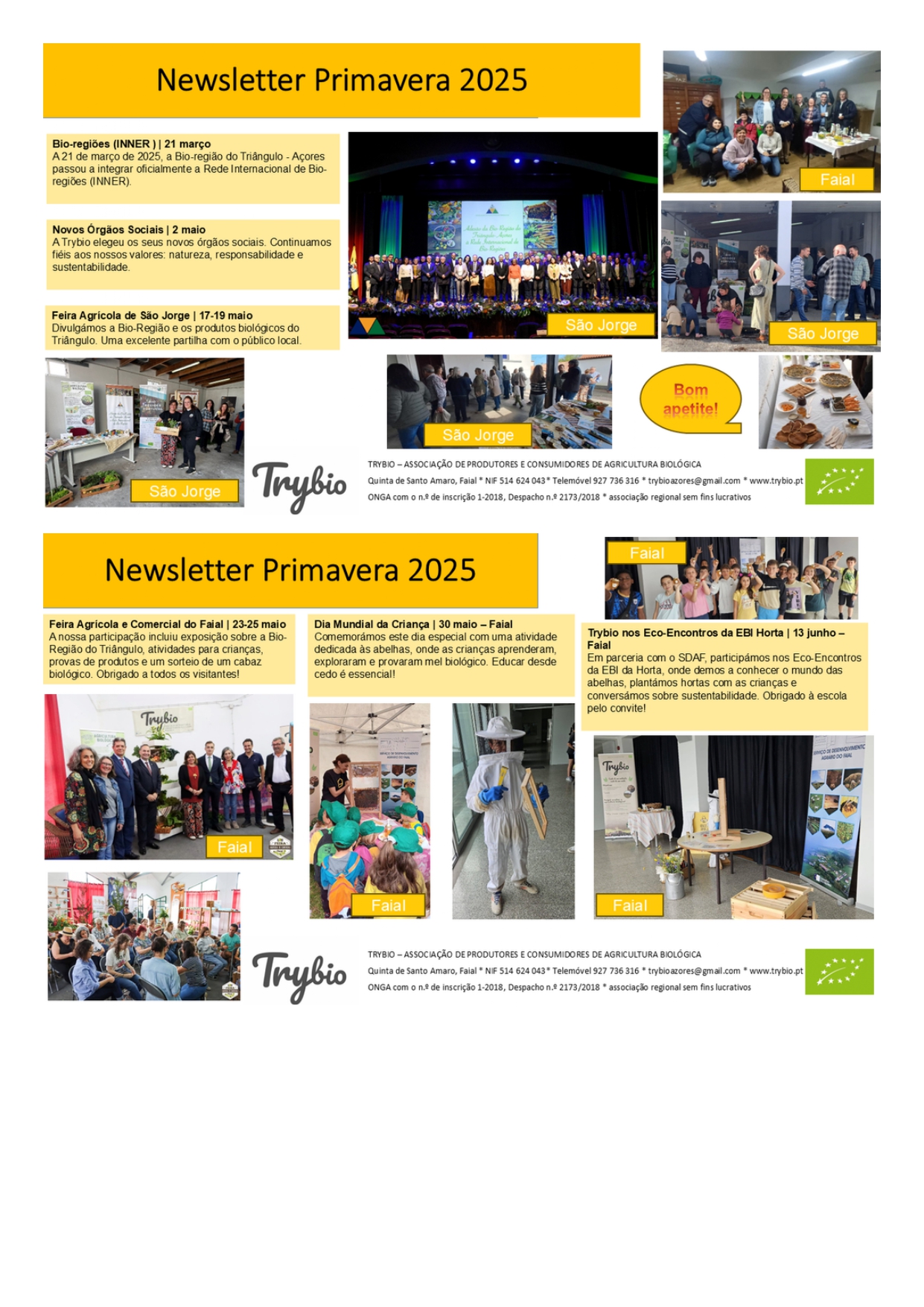 Newsletter Primavera 2025
