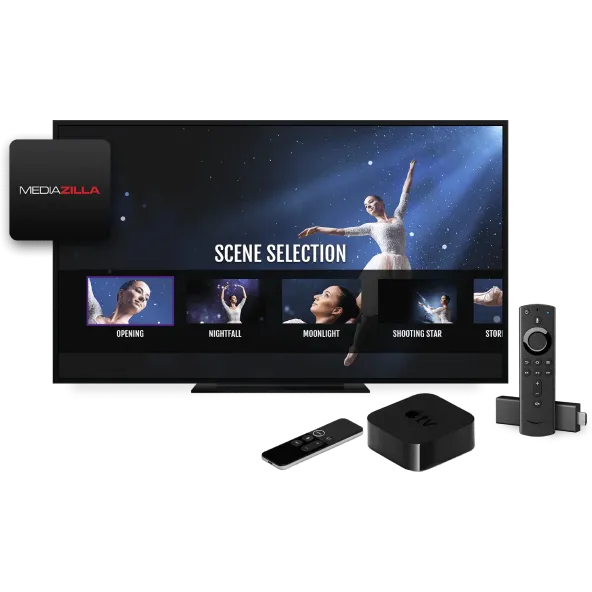 Sell Your Videos Online