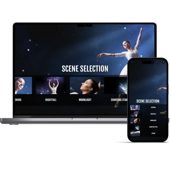 Professional Video Delivery