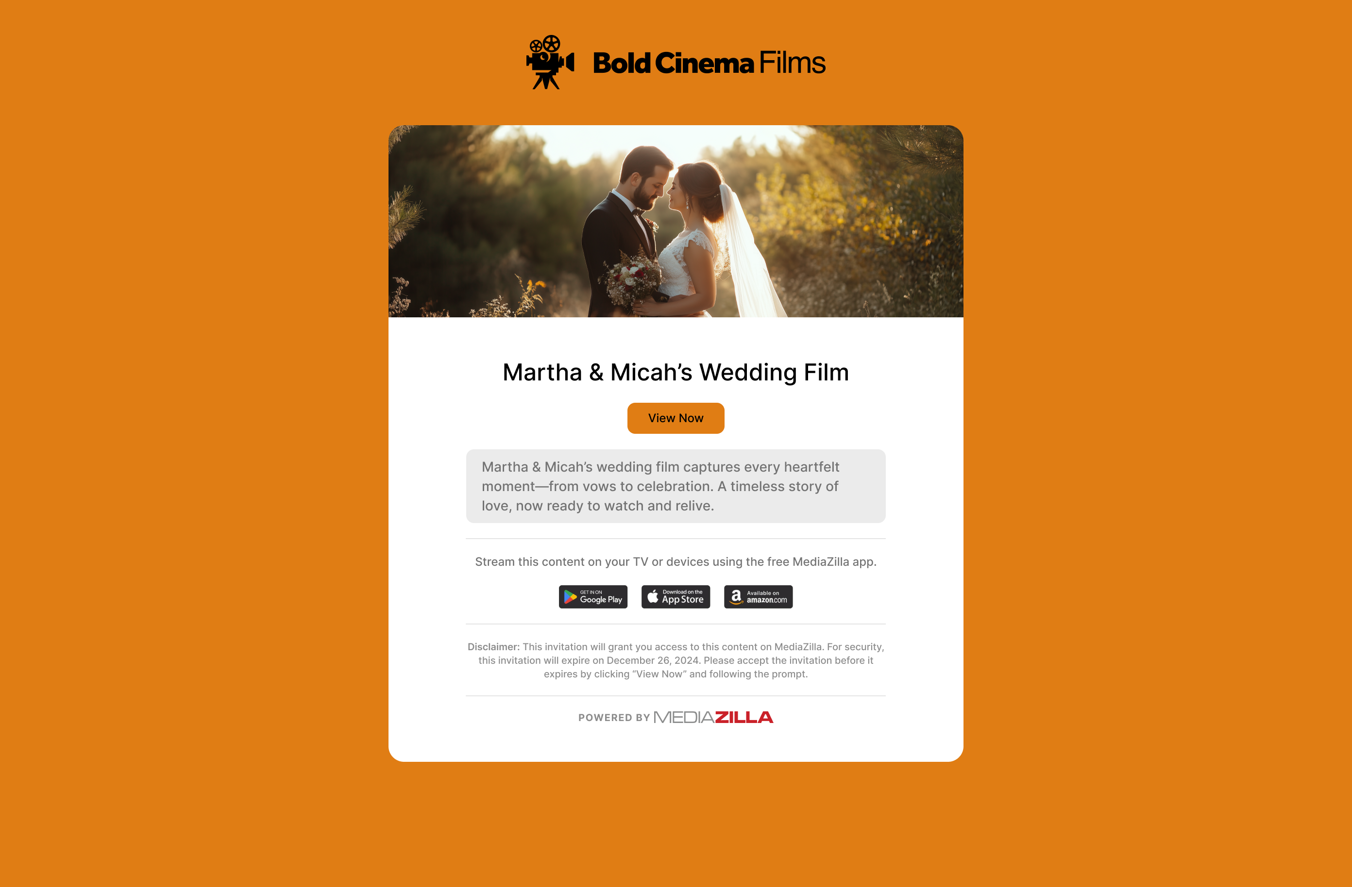 Branded Email Delivery