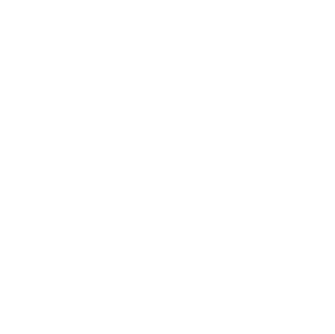 Ray Roman Films logo