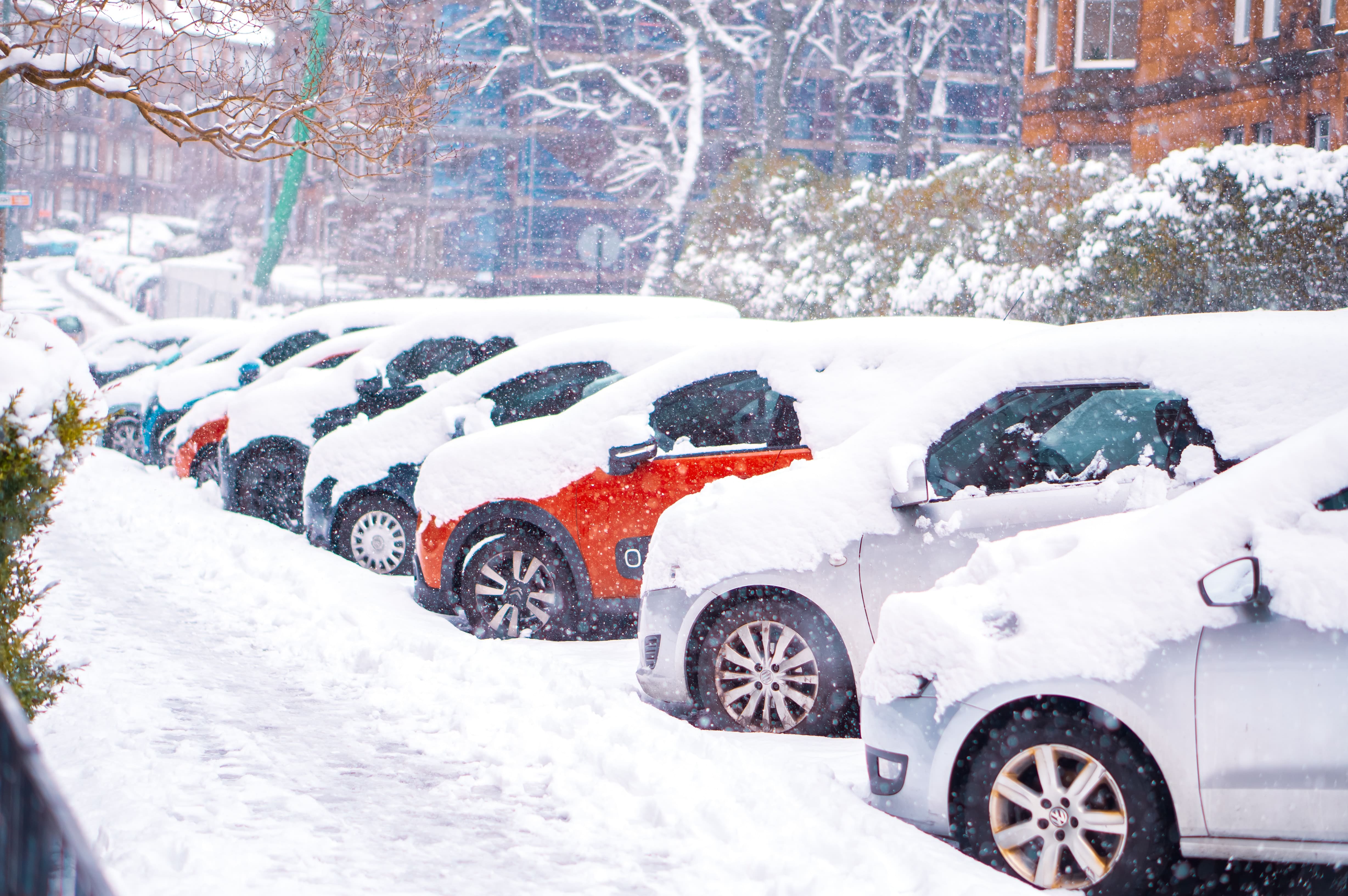 cars covered in snow