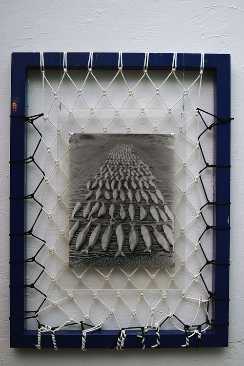 Close up of Smelt fish drying on traditional sand beds.