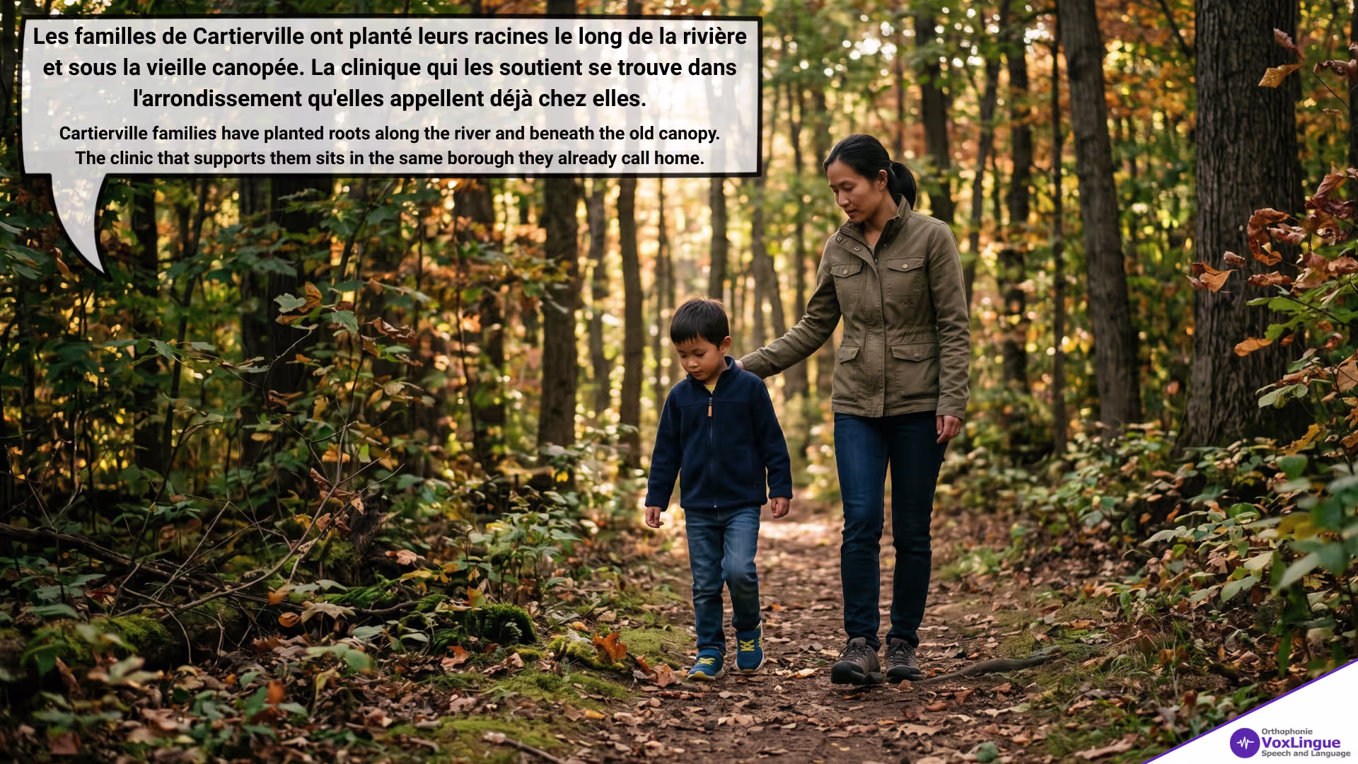 Old Forest, Quiet Confidence | Vieille forêt, confiance tranquille