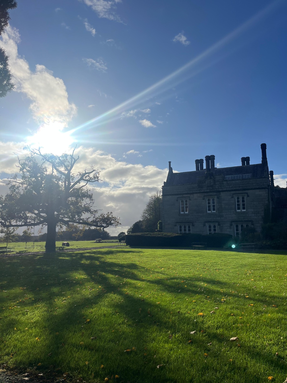 Begin with a Feeling of New for 2026