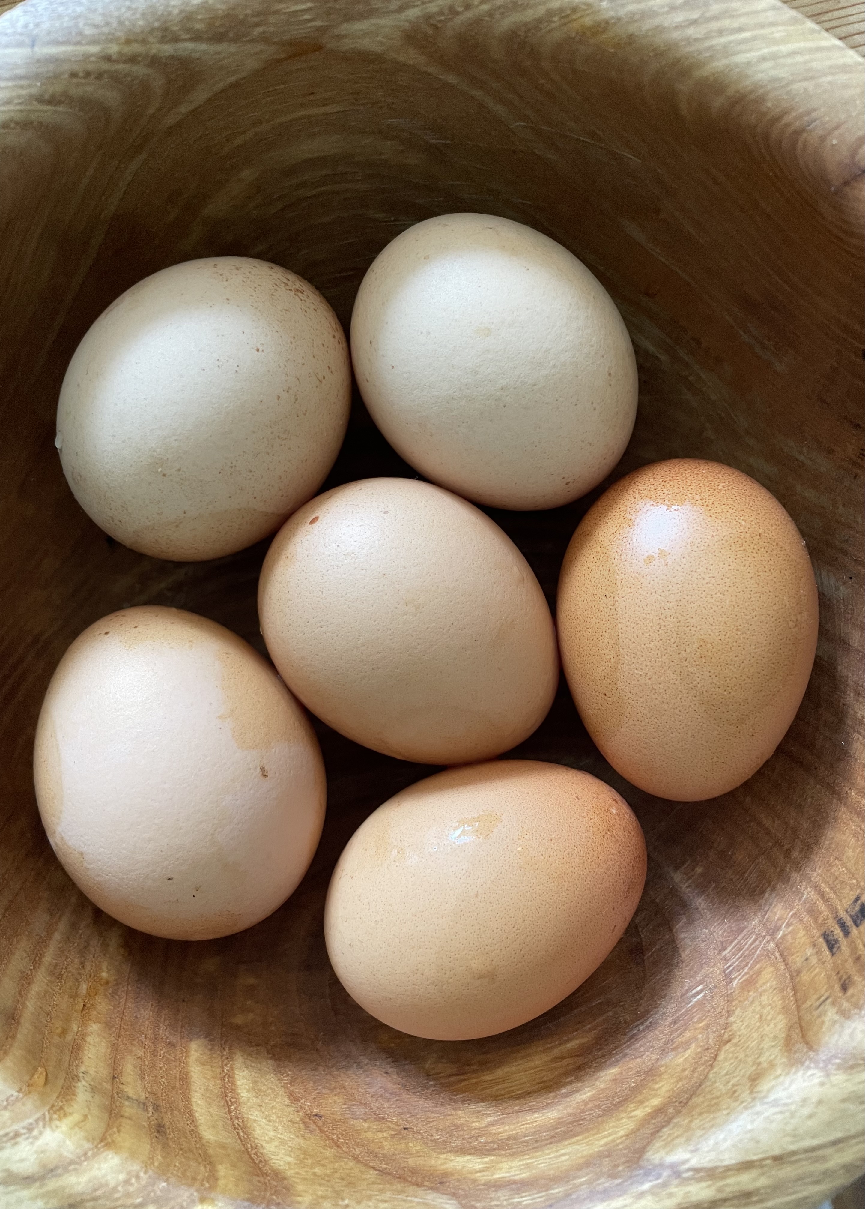 Organic eggs