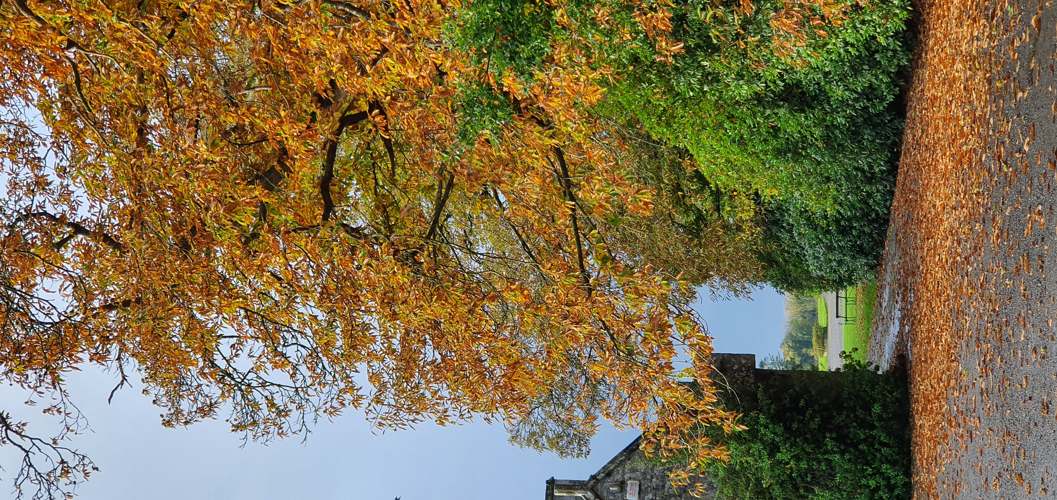 AUTUMN 2026