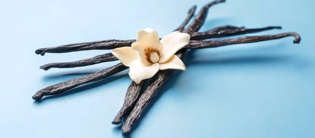 Sri Lankan Vanilla