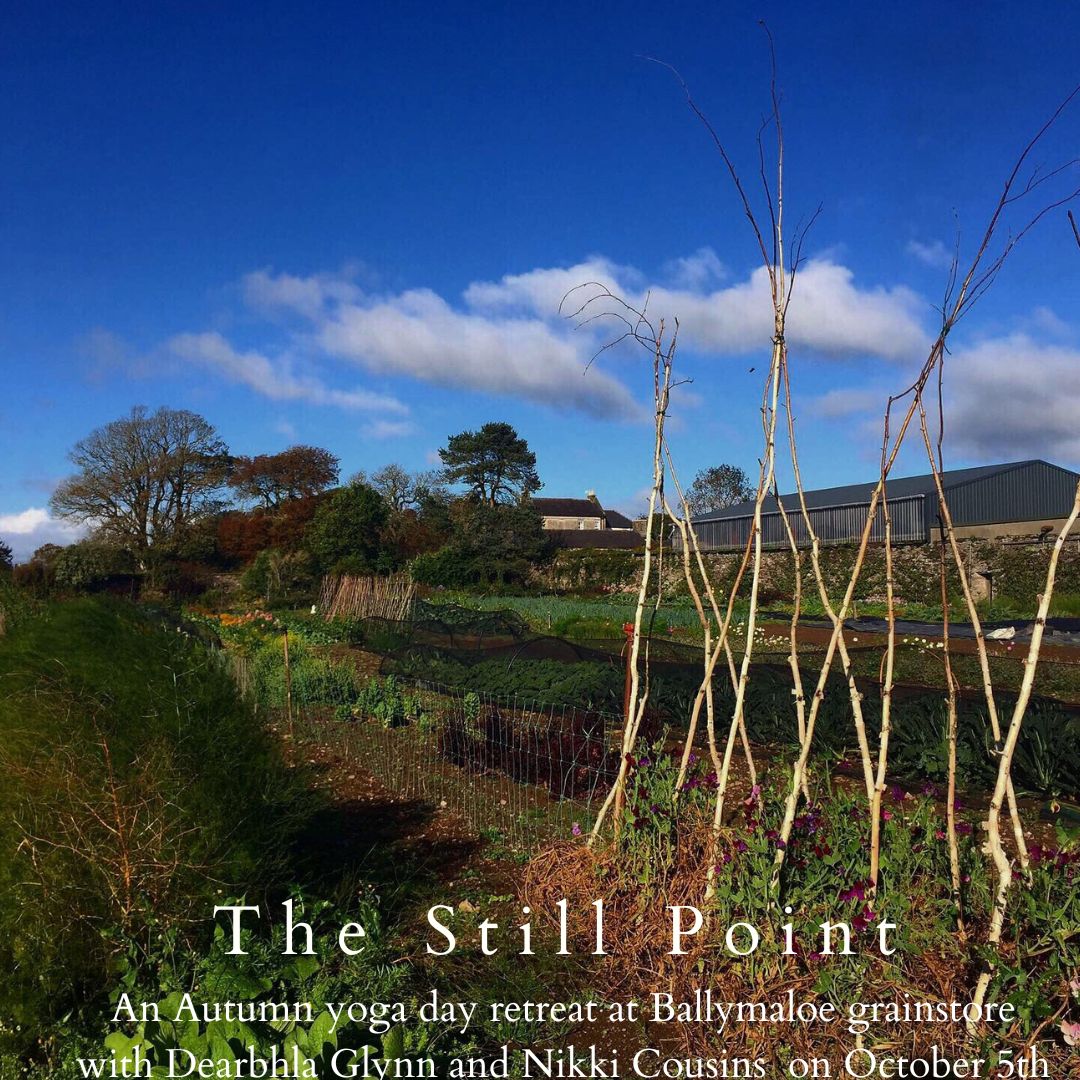The Still Point