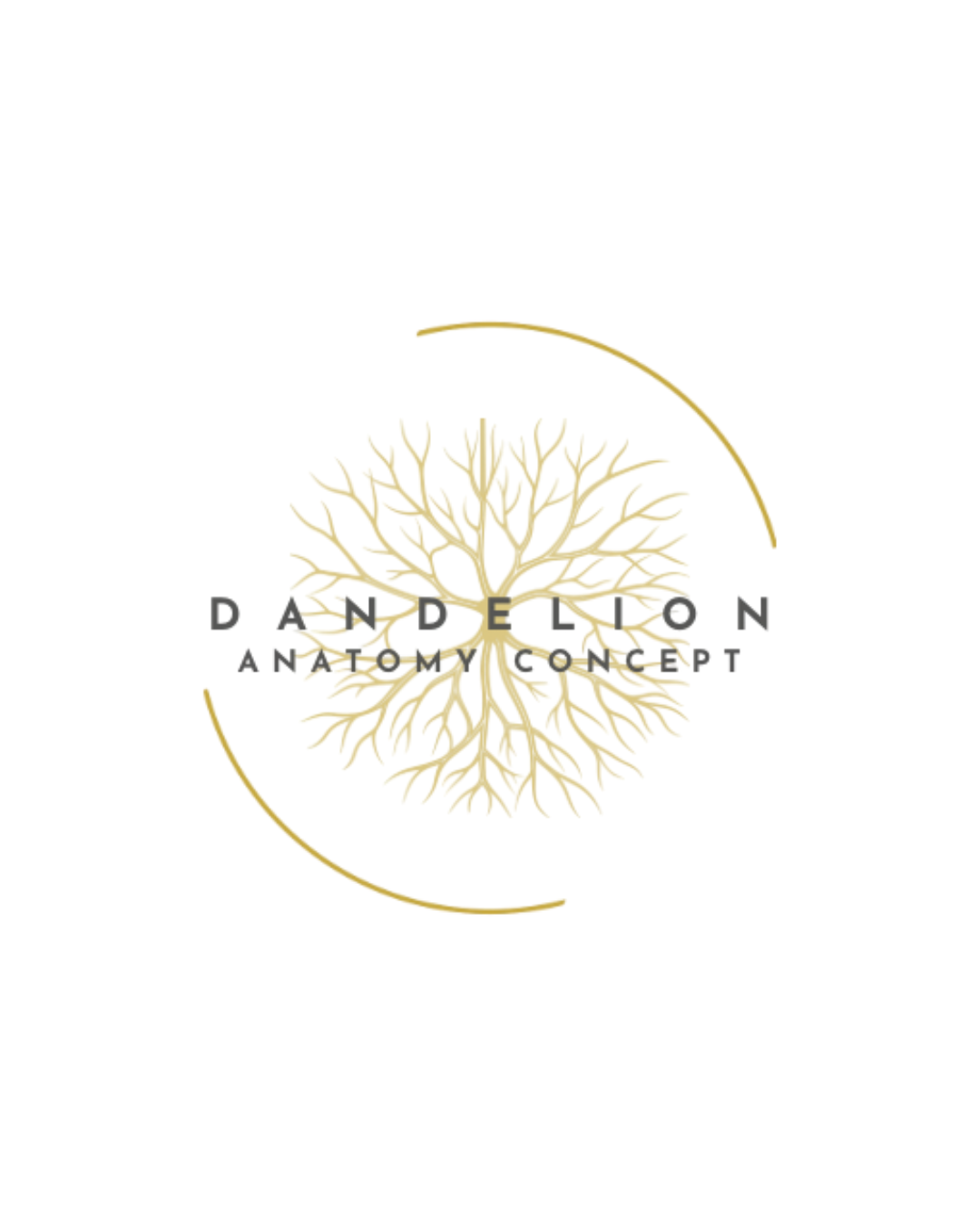 Dandelion Anatomy Concept