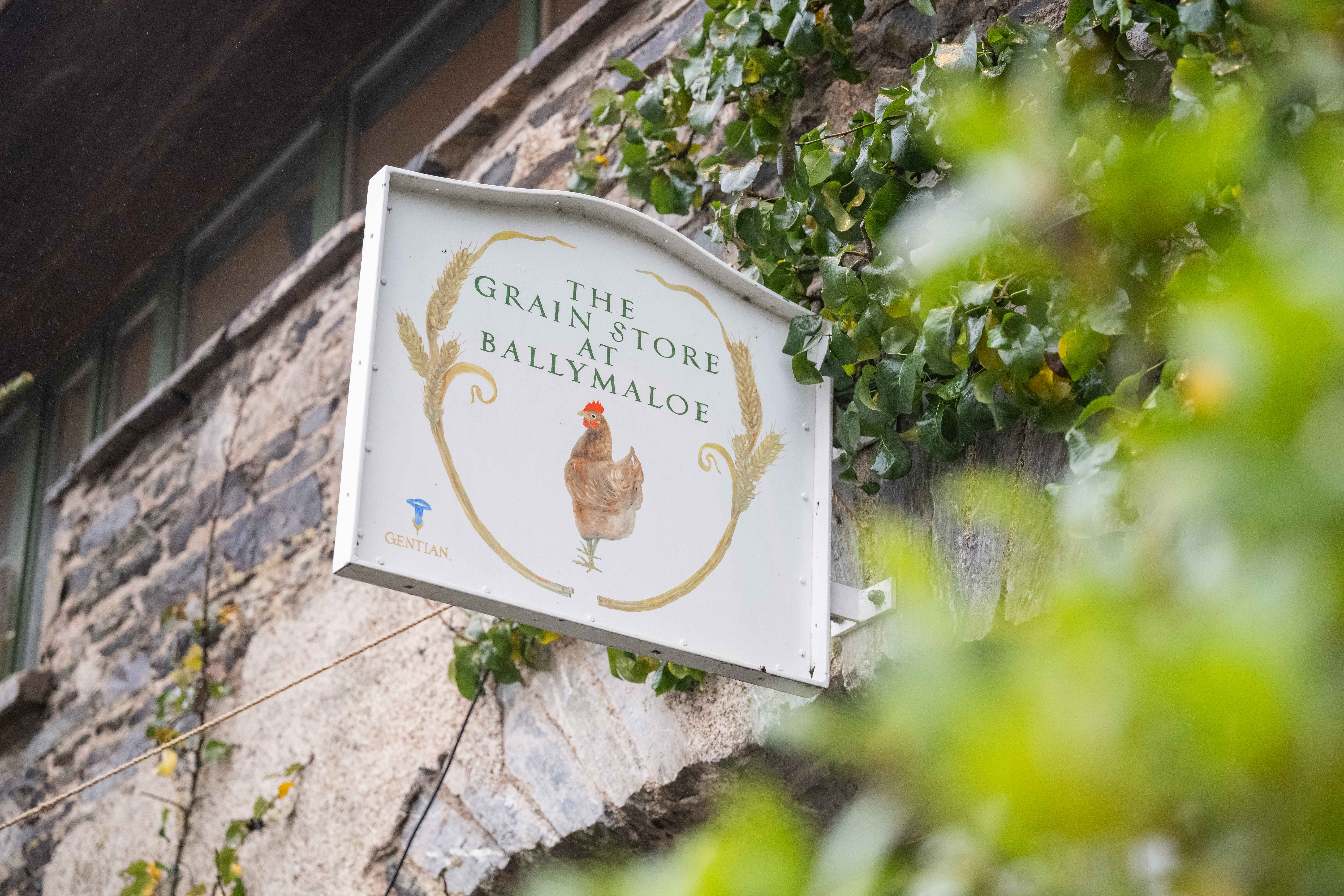 What’s On at Ballymaloe Grainstore: Live Music, Theatre, Food & More in 2026