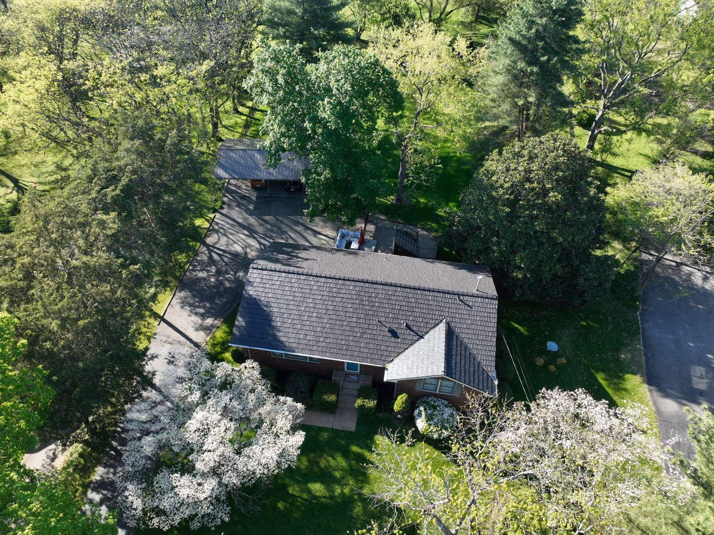 Blue House Angle Full View