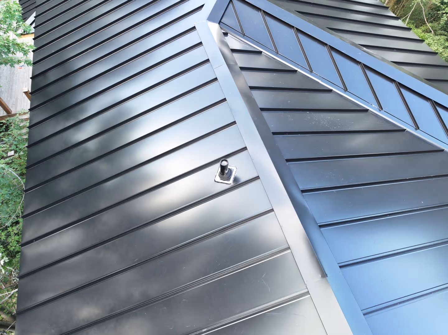 Black Standing Seam Forest Home