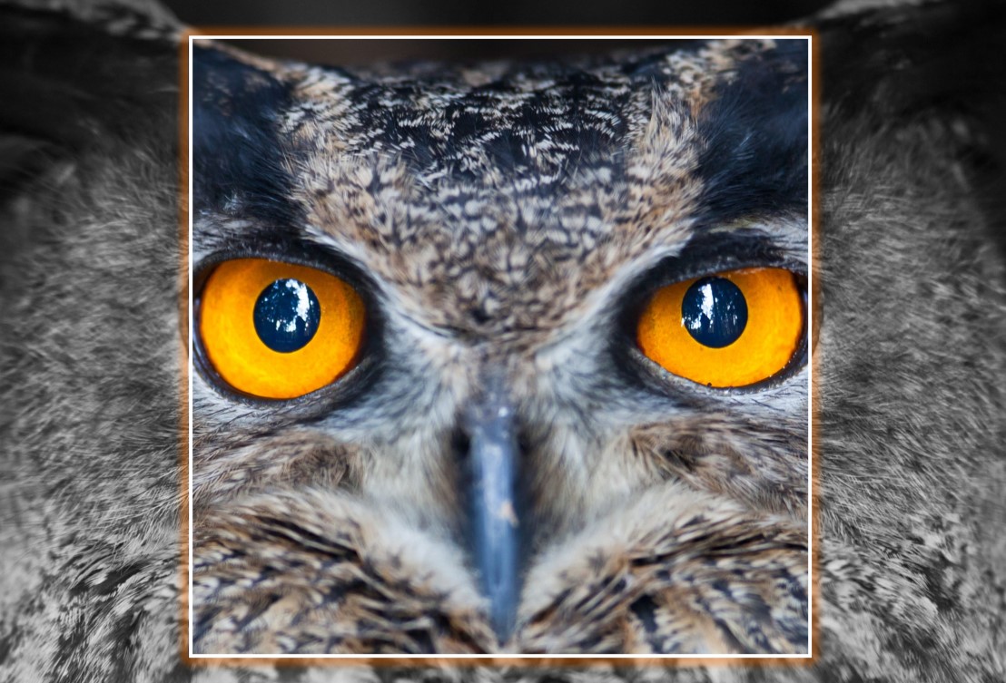 Financial Messaging Consultant - Fehraltorf/ZH