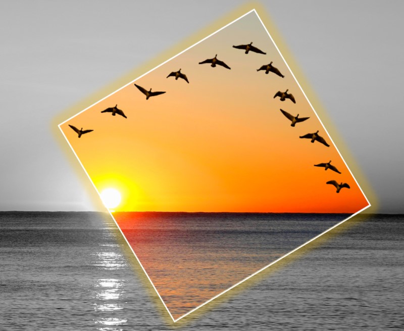 ISO 20022: Time to turn Lemons into Lemonade