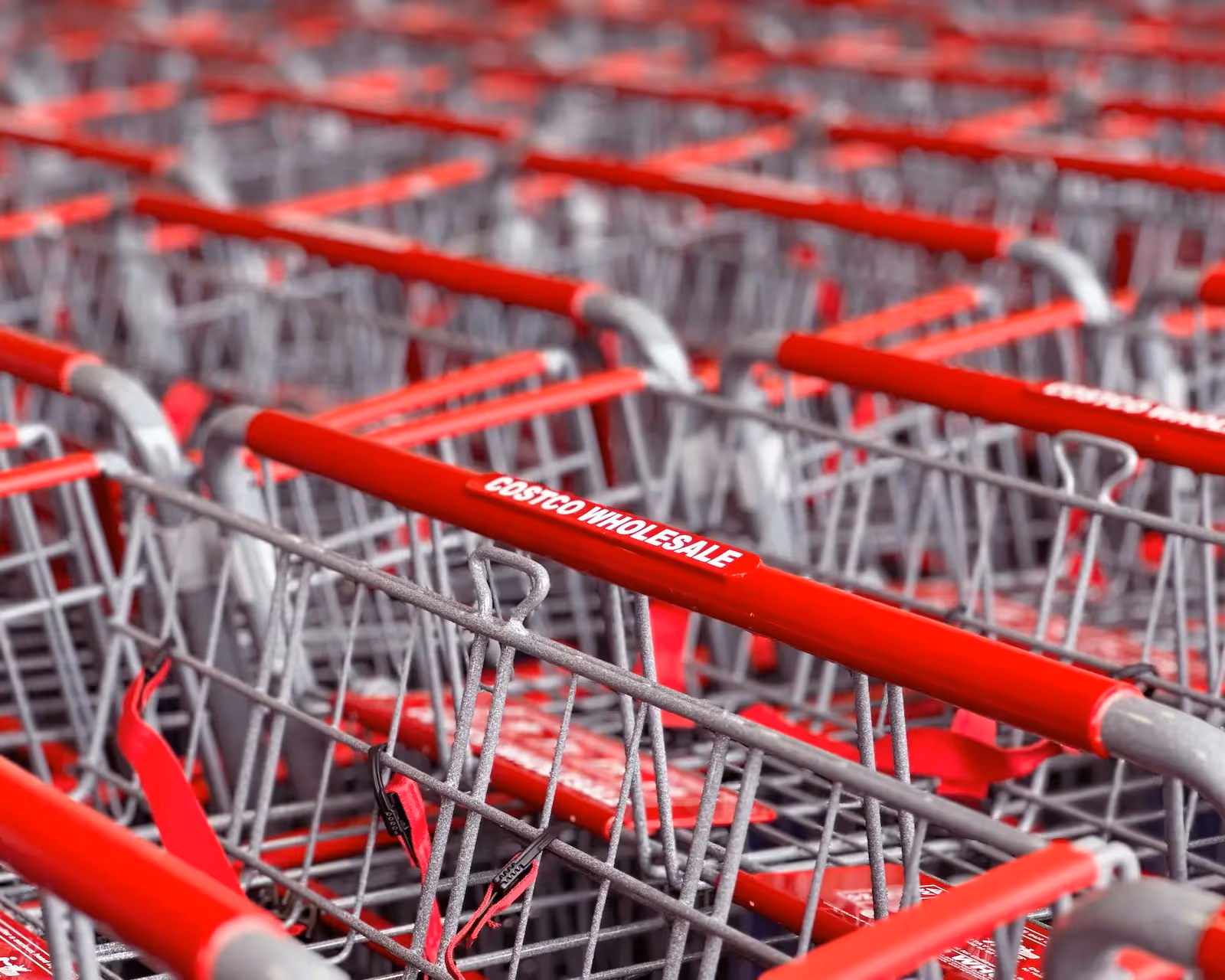 Shopping carts