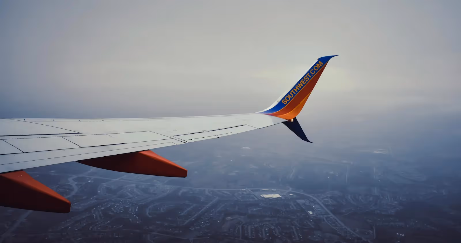 A wing's plane