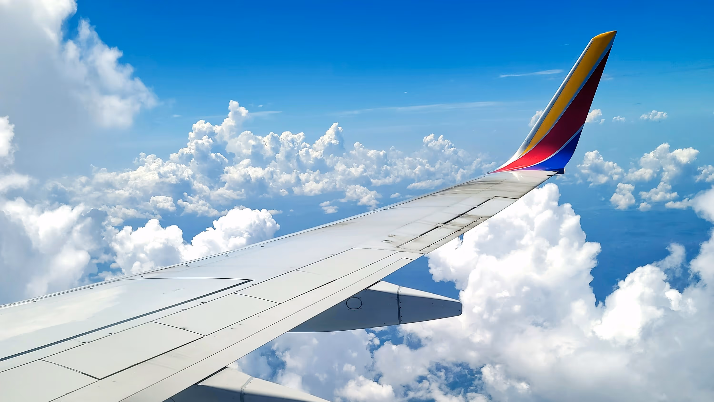 Plane of a wing