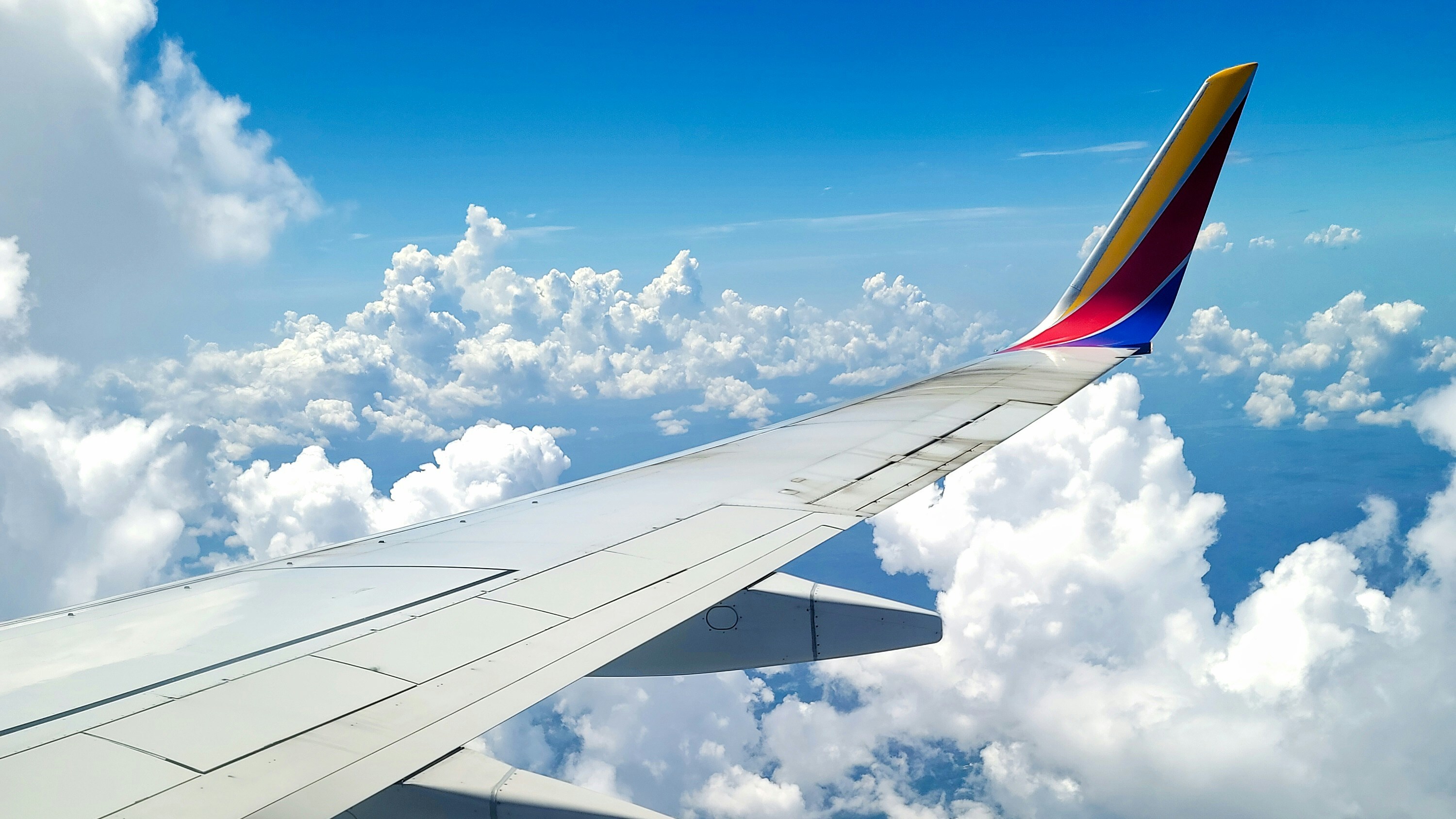Plane of a wing