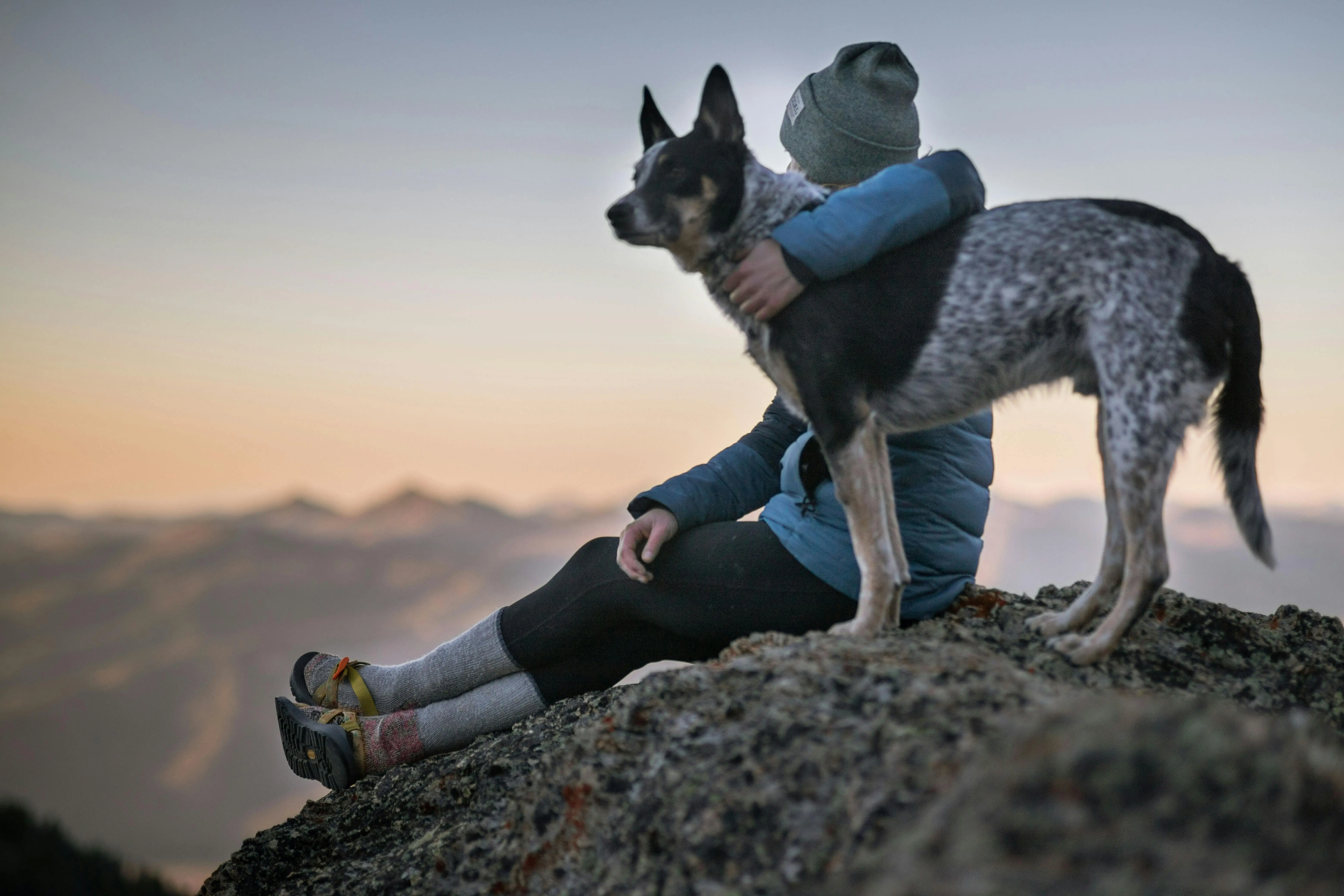 Person and a dog