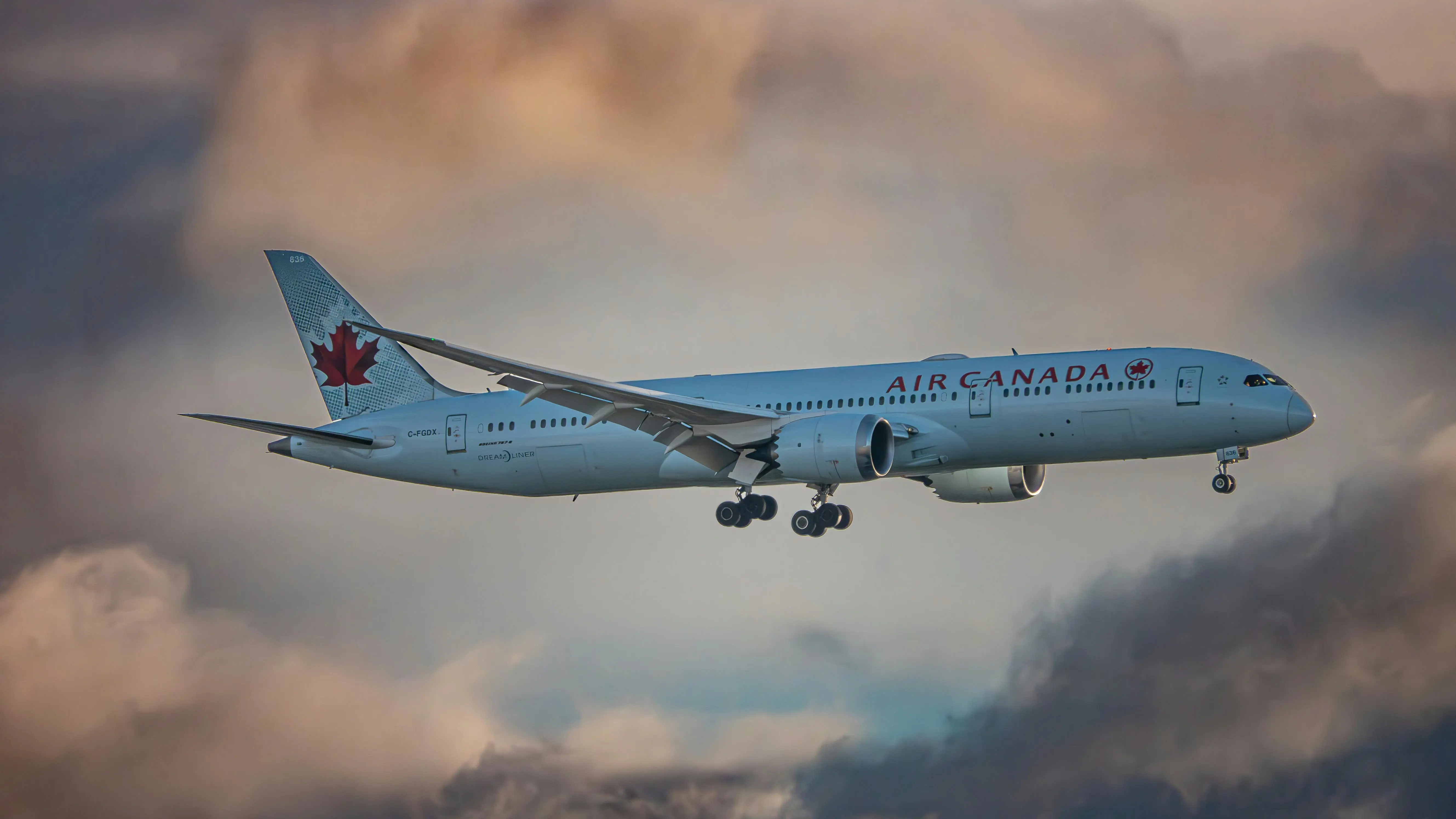 Picture of a plane