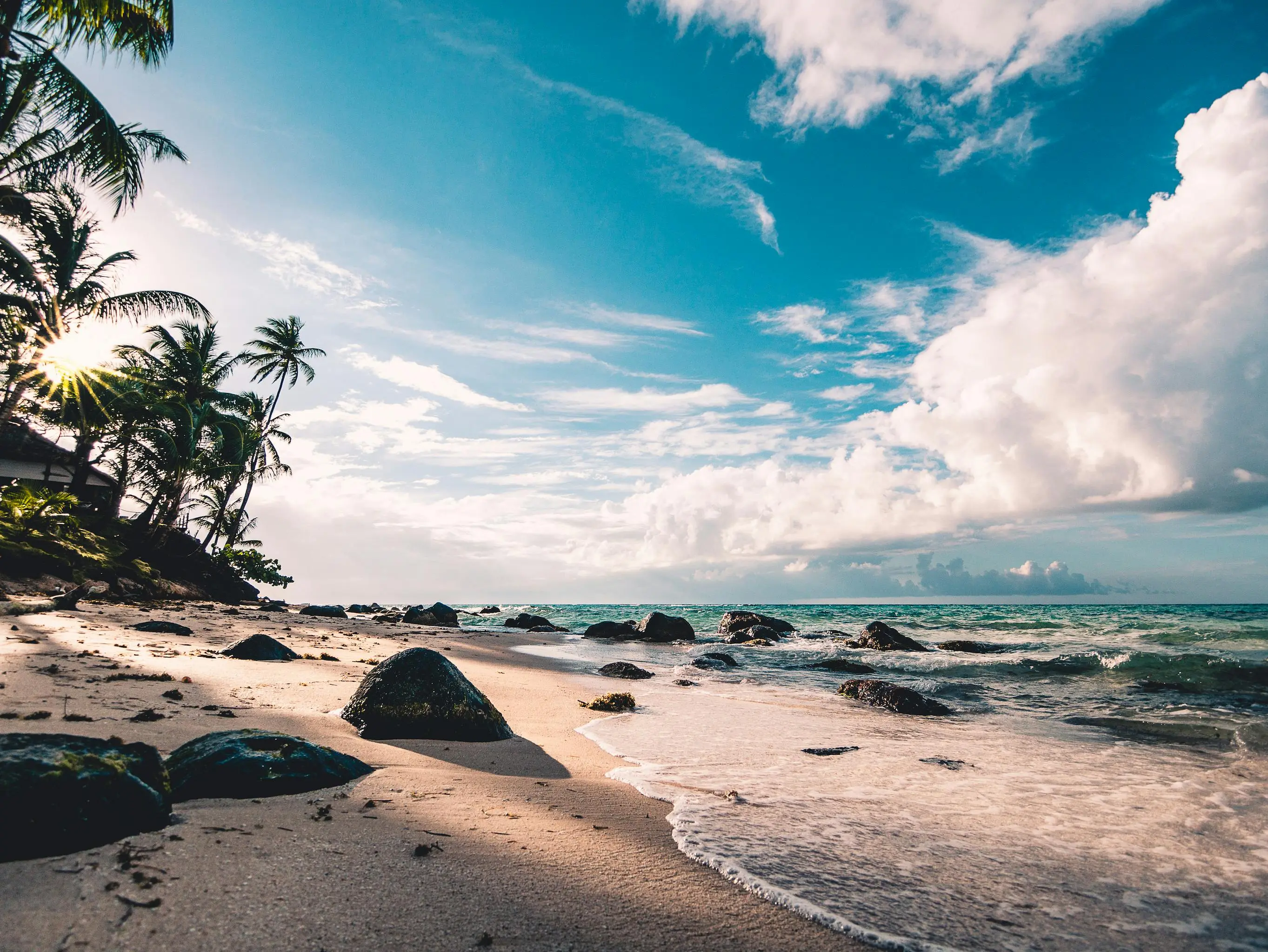 Tropical beach