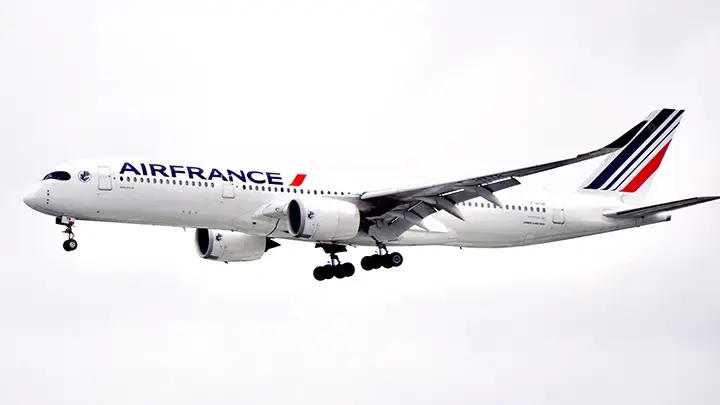 Airplane in the sky