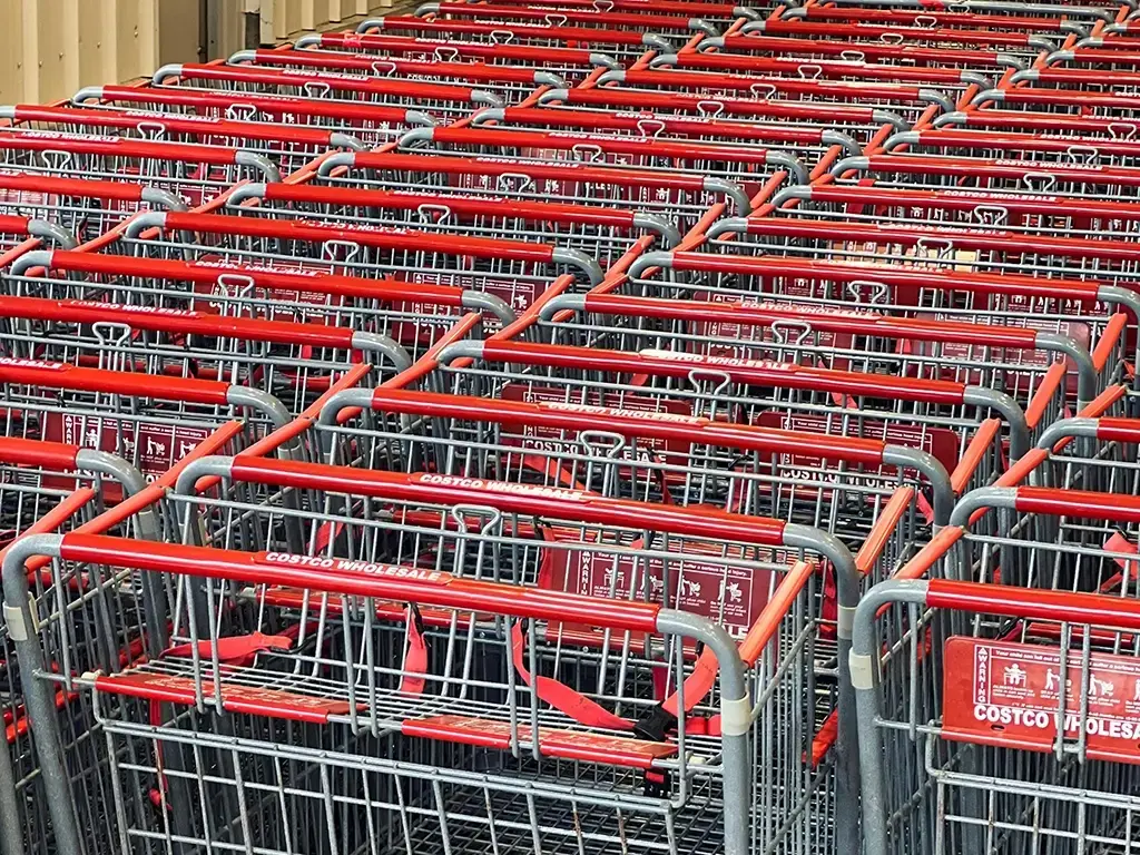 Costco Membership Deal