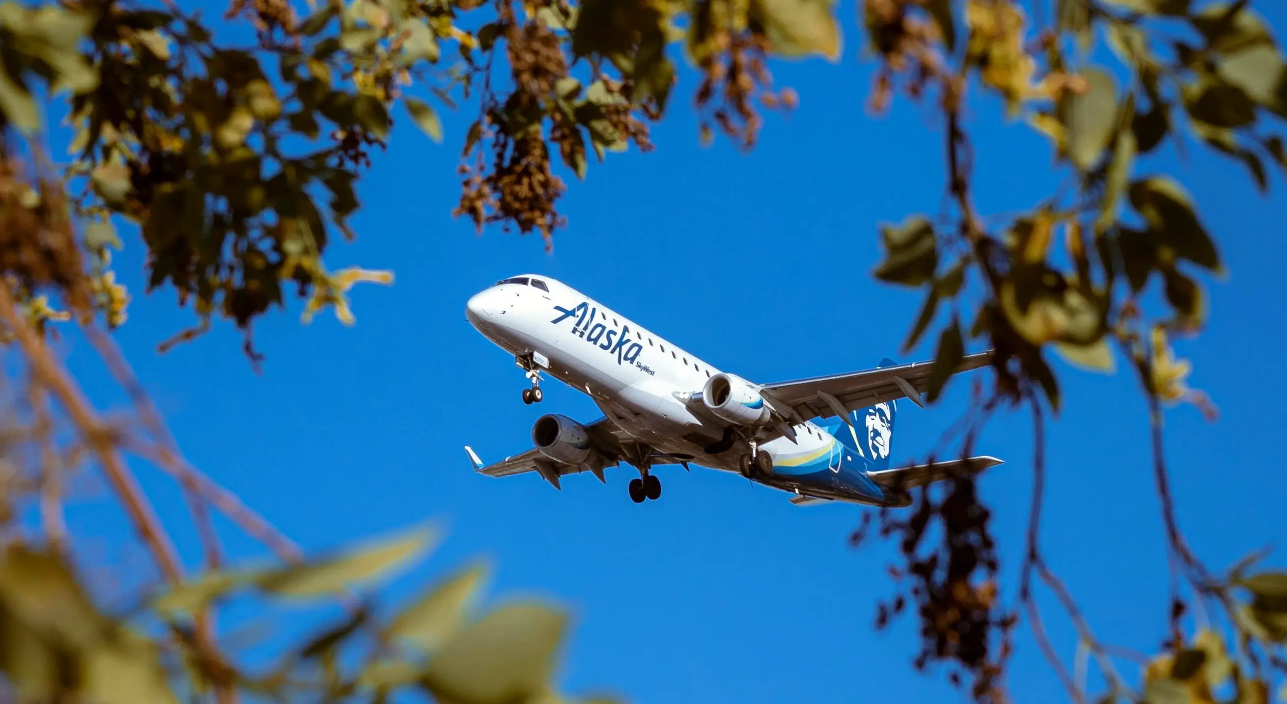 Alaska Airlines Plane