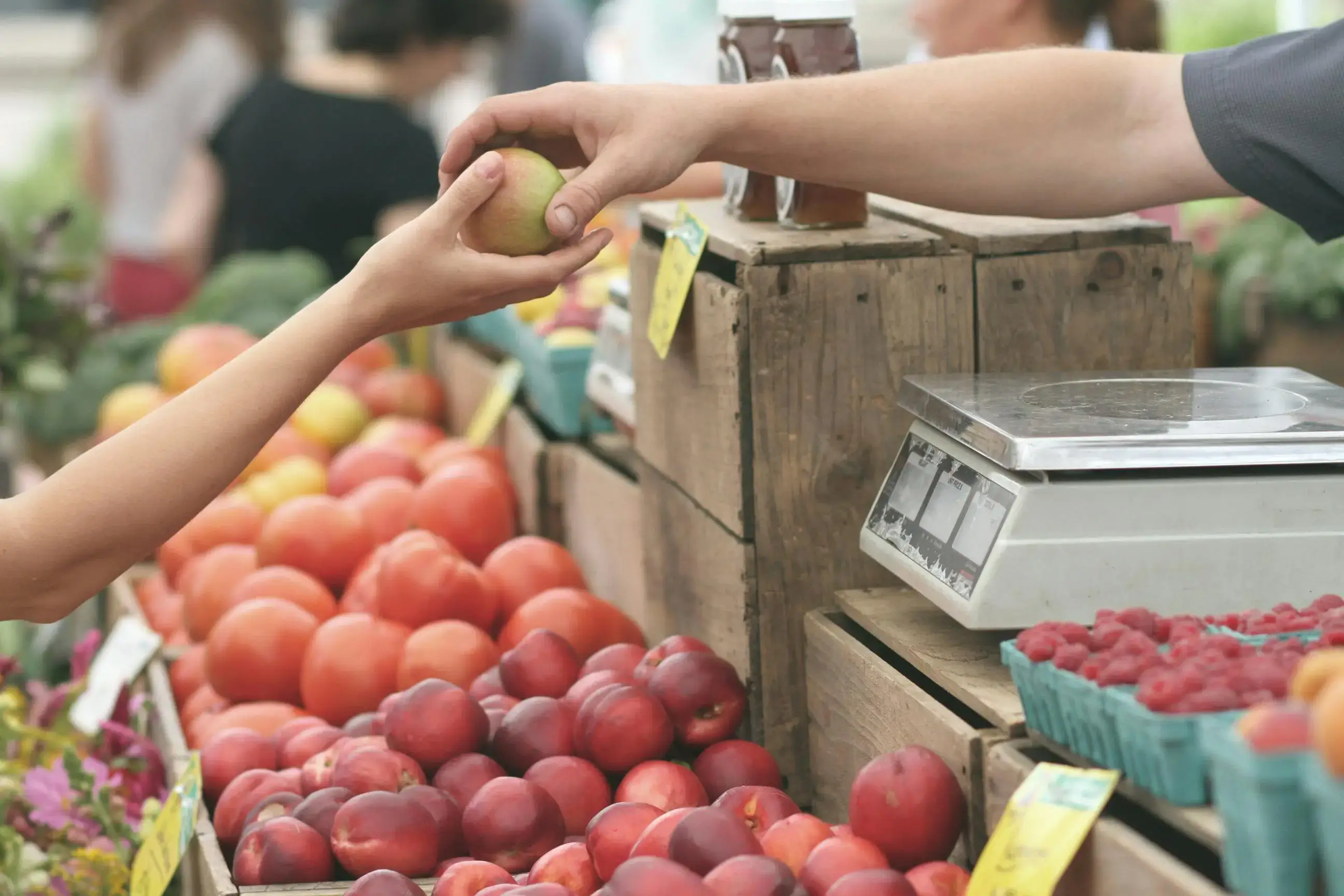 Two people holding a fruit