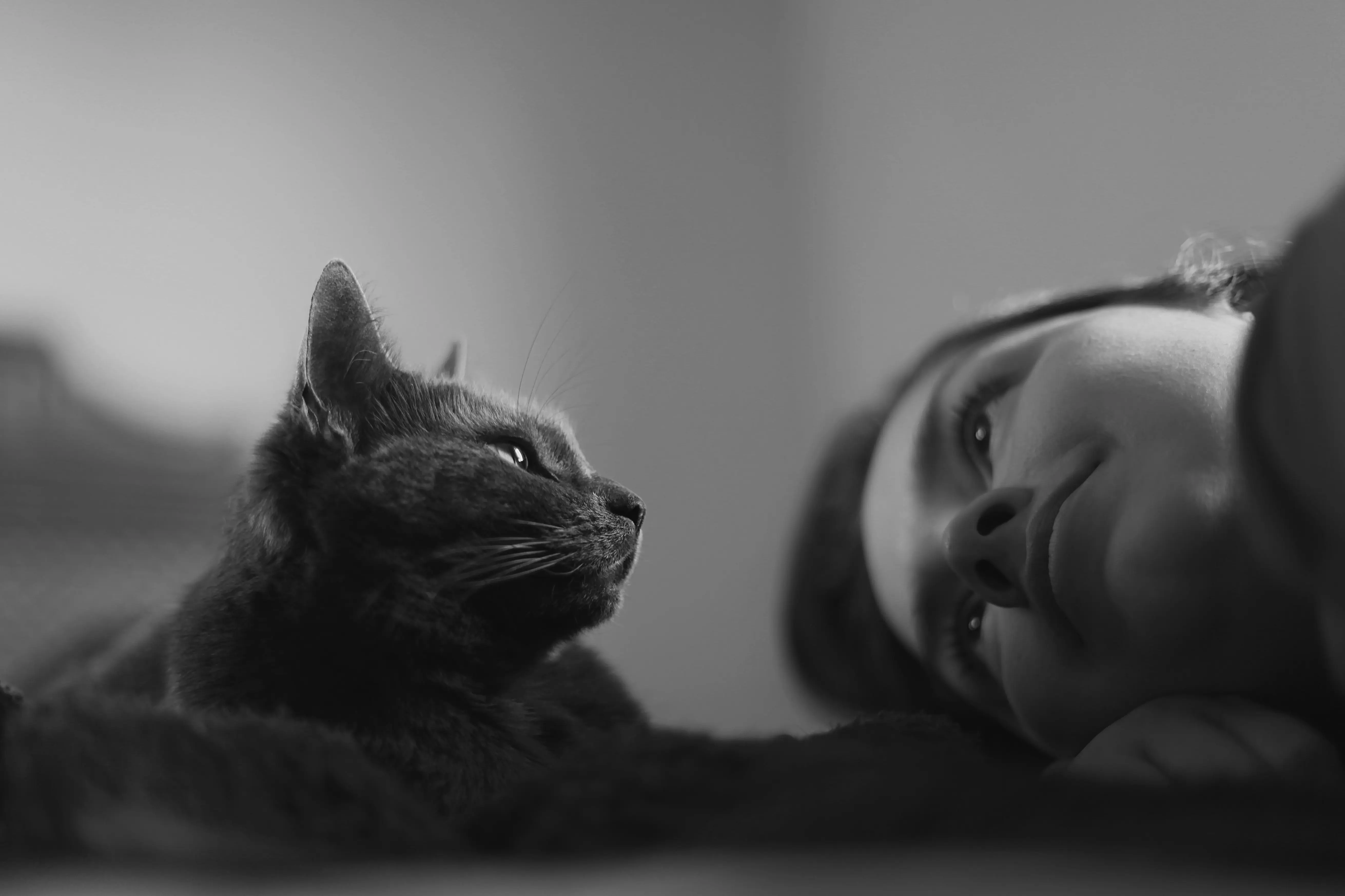 Person and a cat