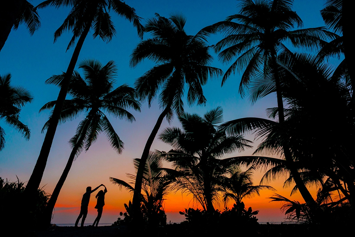 Image of palm trees and a couple on a tropical vacation