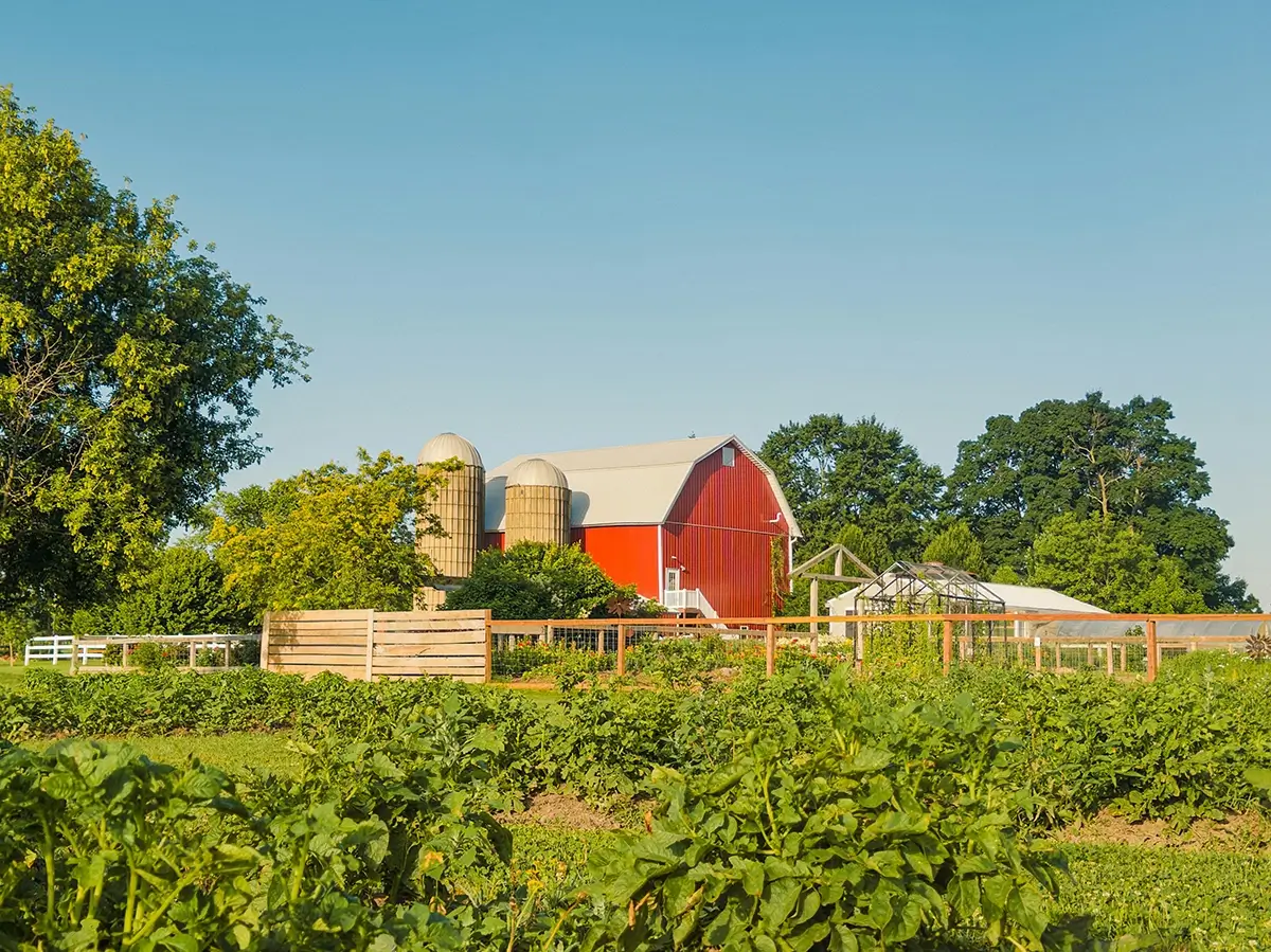 Image representing an American farm