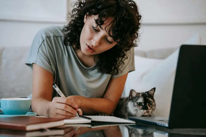 What to look for in a credit card as a pet owner in 2026 including vet rewards intro APR purchase protection and annual fee evaluation