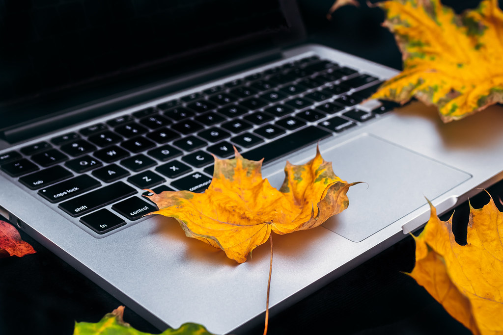 Yellow autumn maple leaves resting on a laptop keyboard