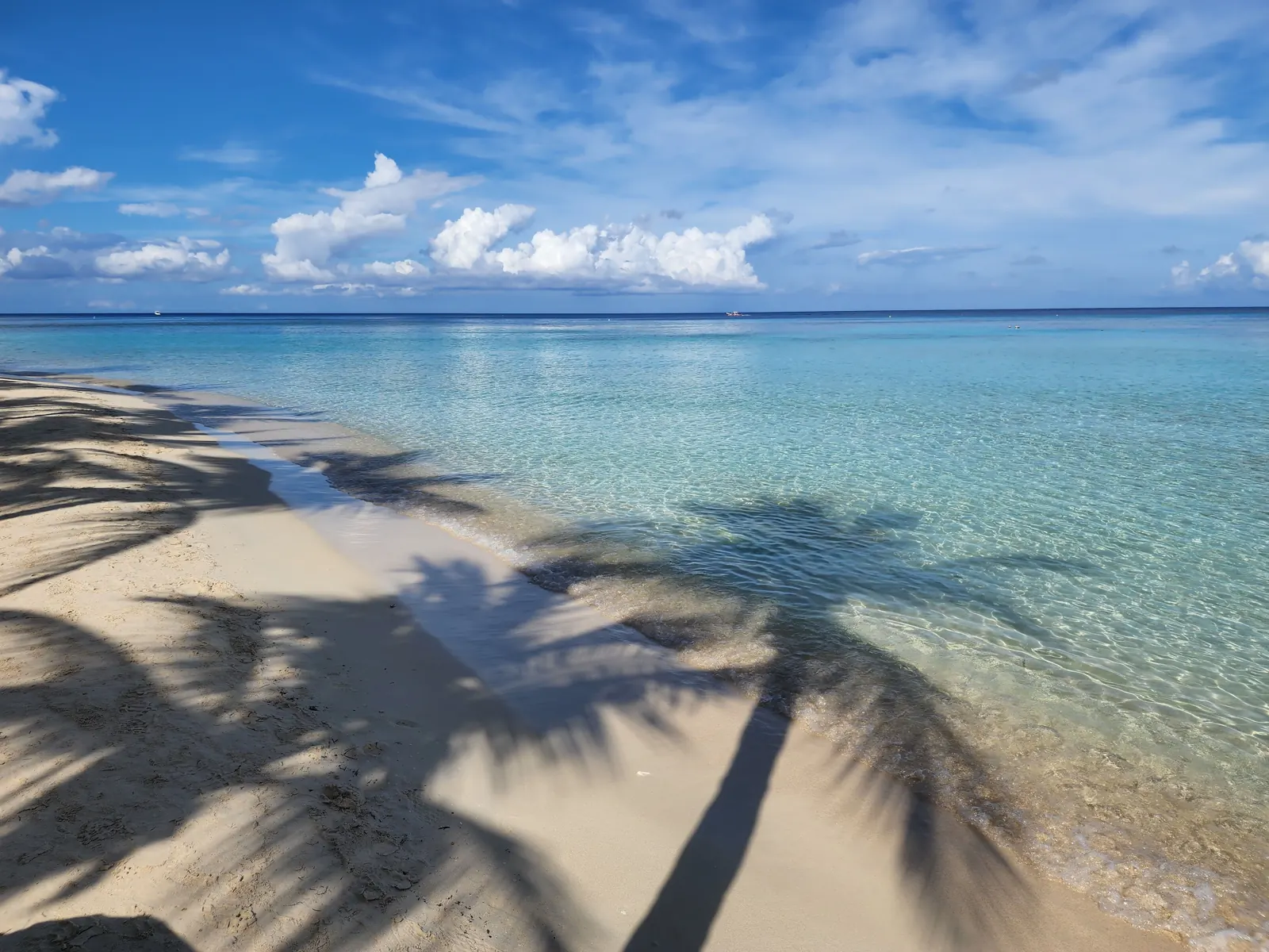 Palm tree shadows across a white sand beach beside clear turquoise water under a blue sky