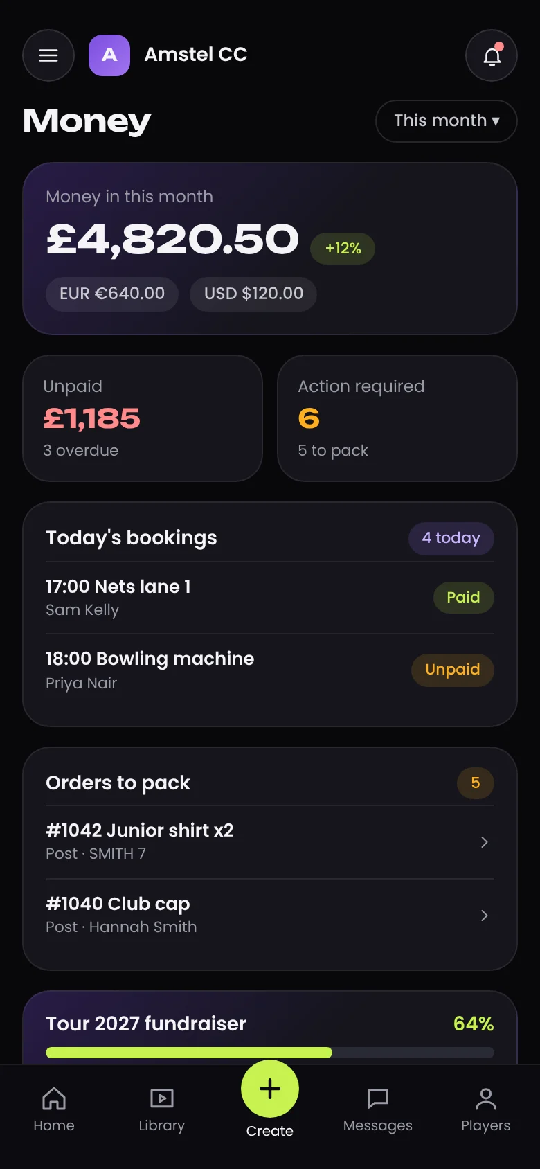 Ludimos money overview on mobile