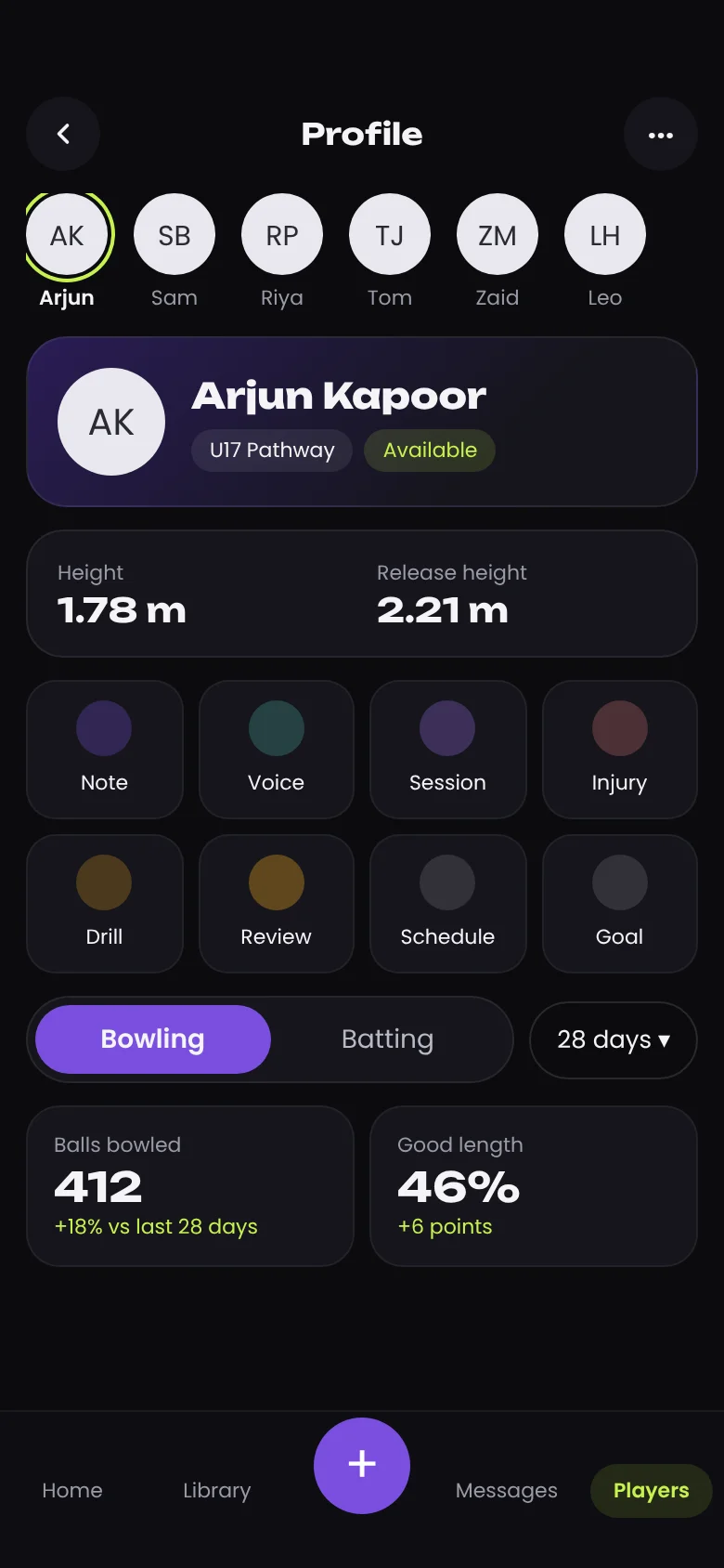 Ludimos player profile on mobile