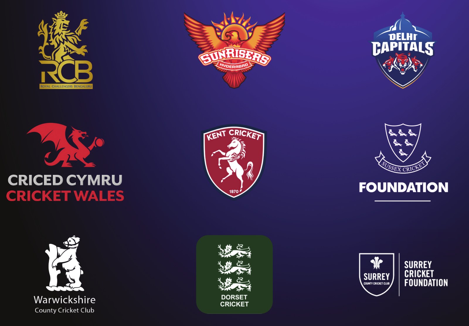 Logos of cricket organisations that use Ludimos, including Cricket Wales and Surrey Cricket Foundation