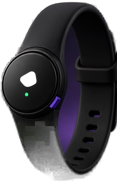 Ludimos Pulse wrist band