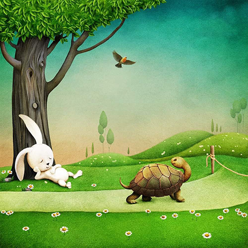 The Tortoise and The Hare