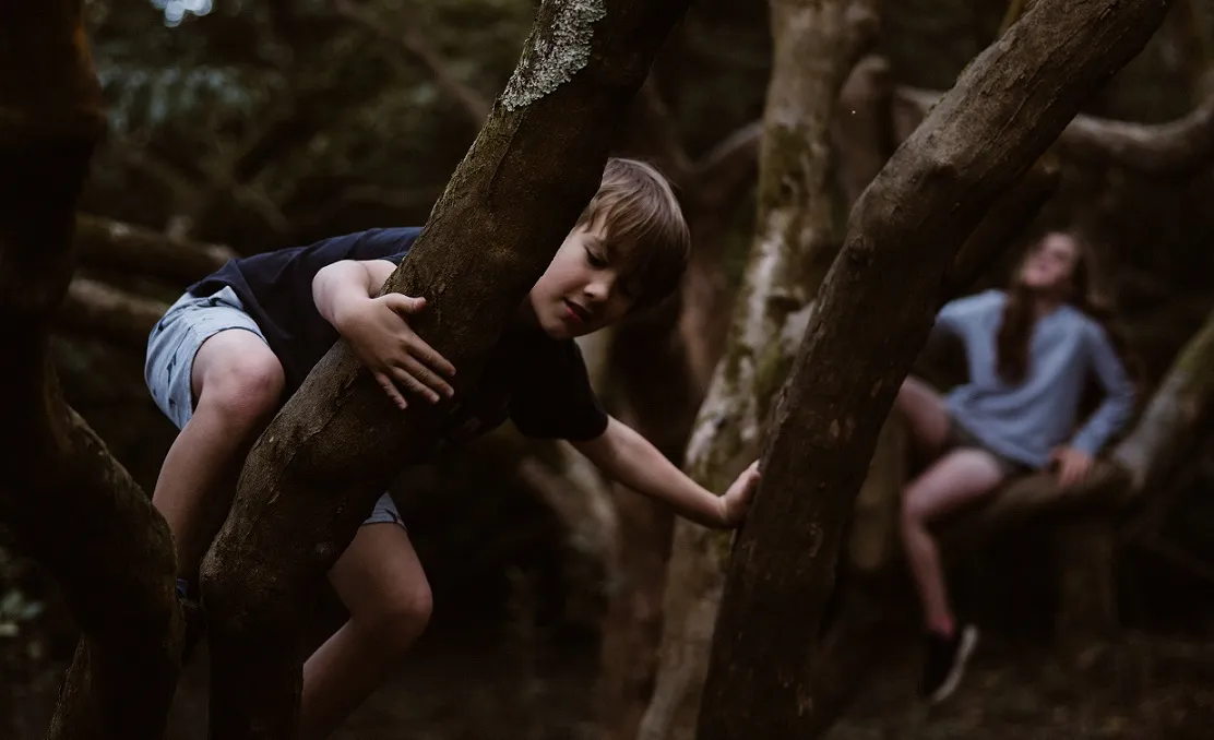 Ako dôležitá je príroda? Deti vyrastajúce pri lese môžu mať lepšie duševné zdravie a hladší kognitívny vývoj