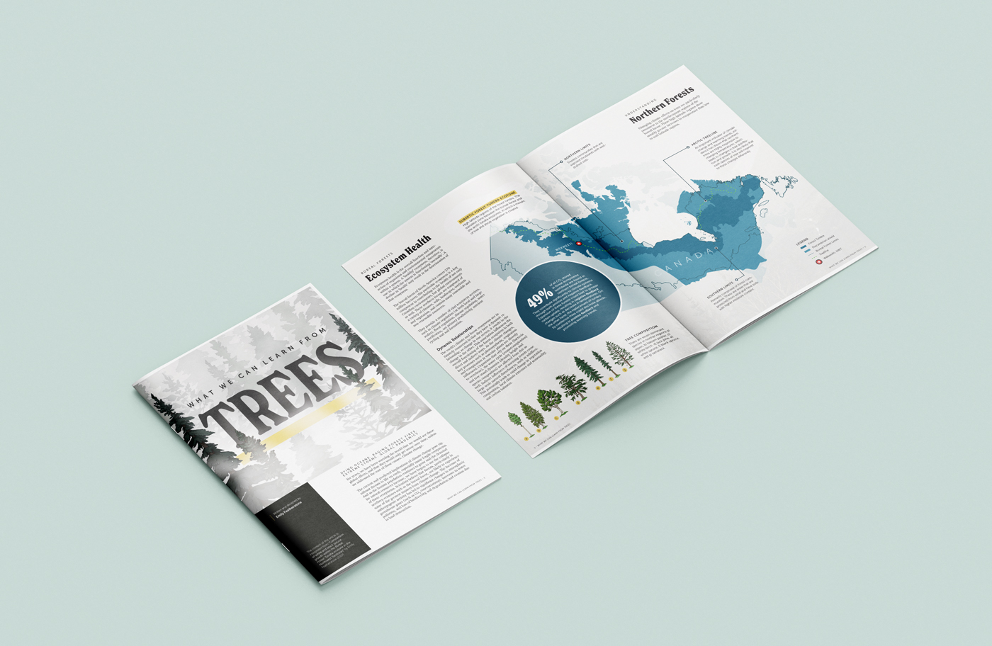 Mockup of magazine, front cover and first two pages