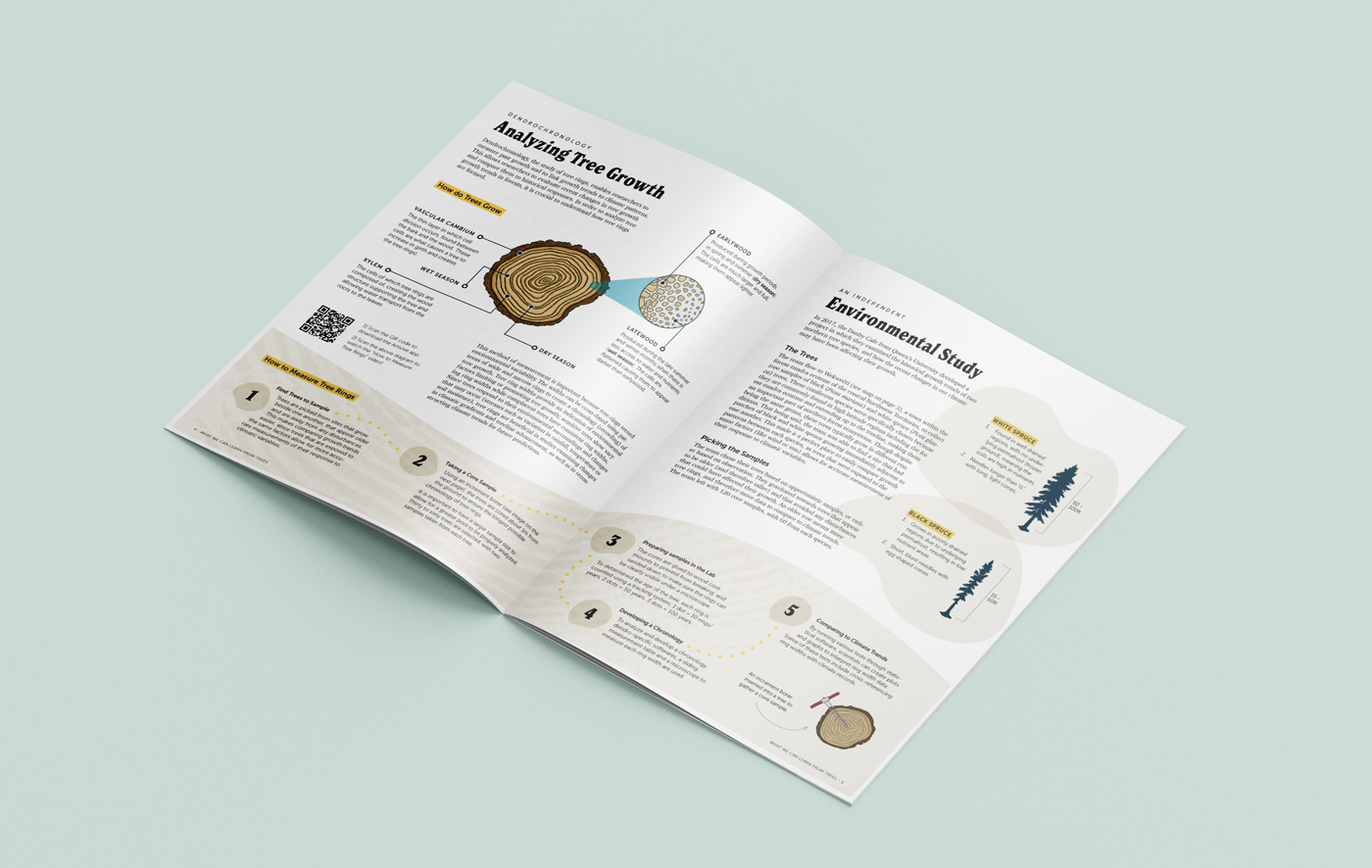 Mockup of magazine, pages three and four