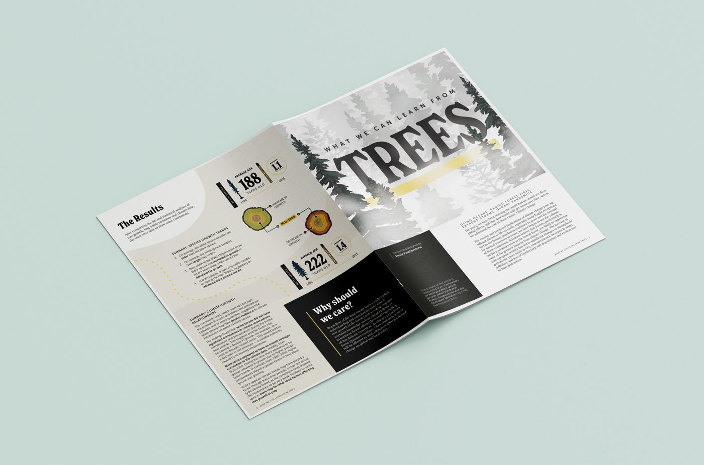 Mockup of magazine, back and front covers