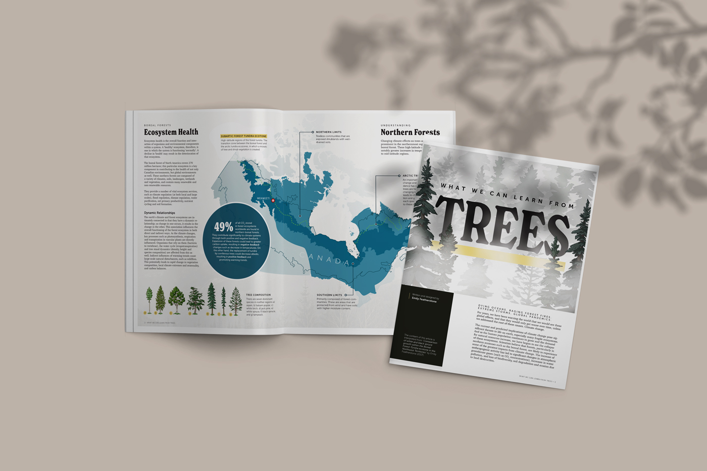 Magazine spread from the article "What we can learn from trees"