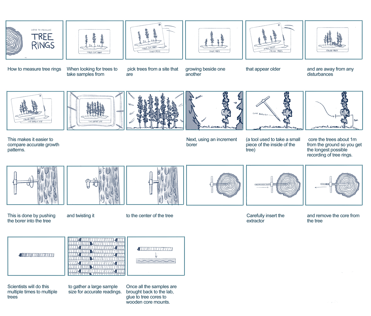 Animatic and storyboard sketches 
