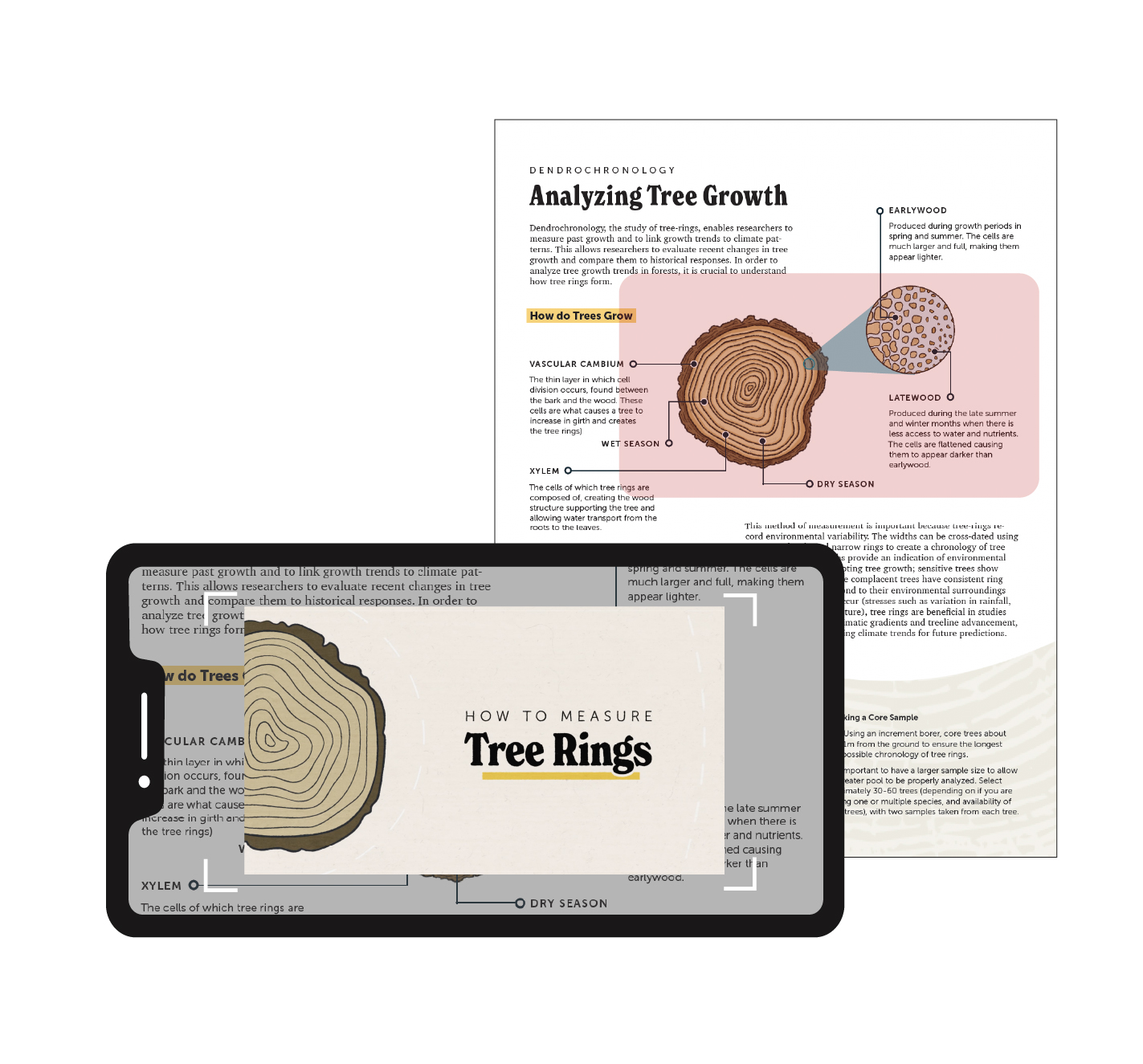How to use augmented reality feature on magazine