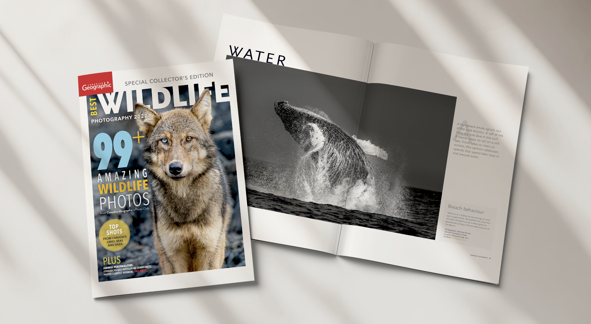 Print ads from Skip the landfill campaign
